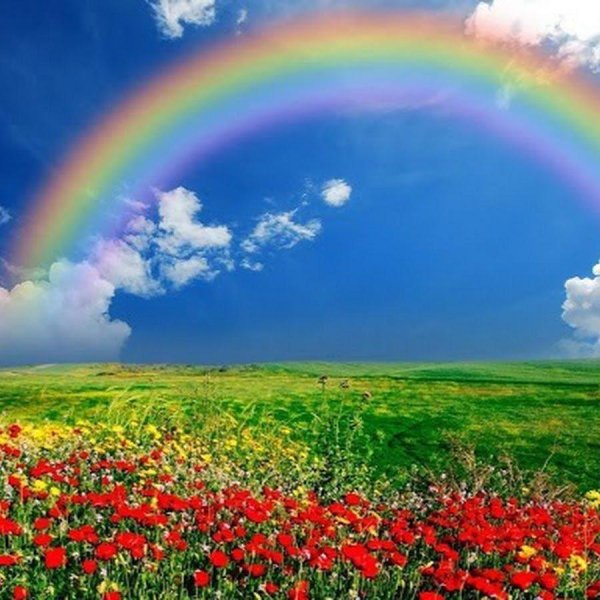 природа с радугой