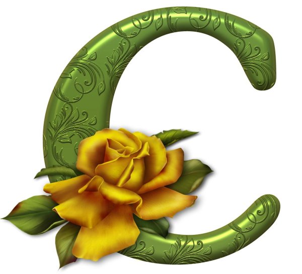 буква с красивая