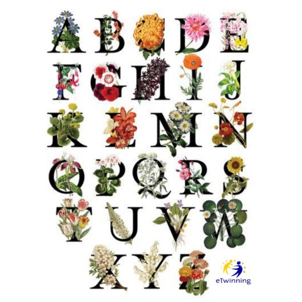 алфавит цветы