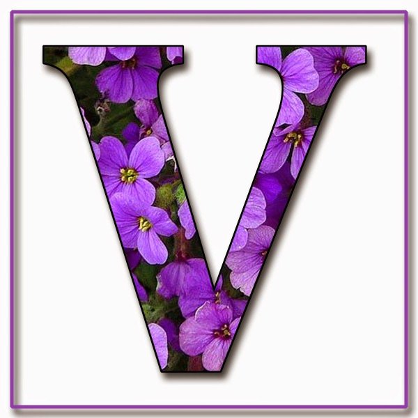 буква и красивая