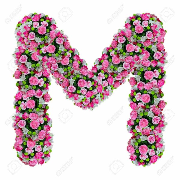 буква n из цветов