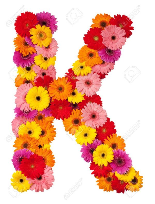 алфавит из цветов