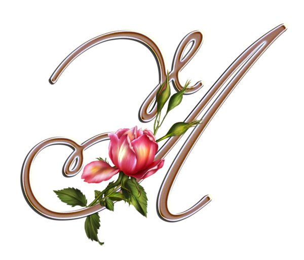 красивая буква