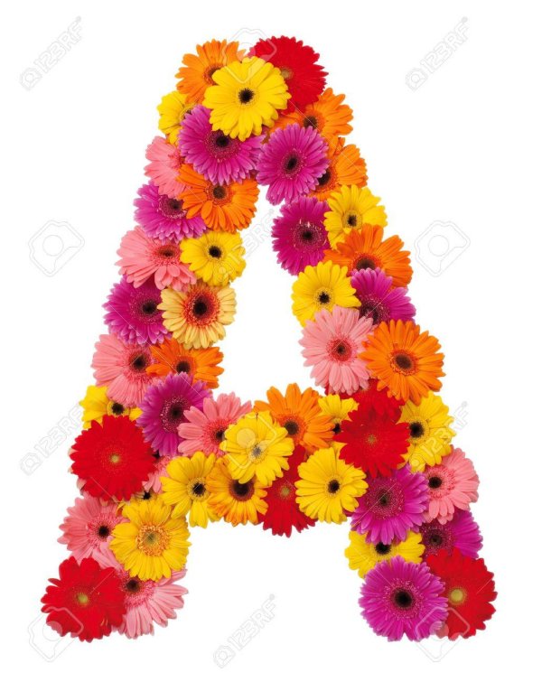 буквы из цветов