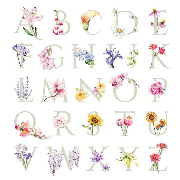 цветочный алфавит