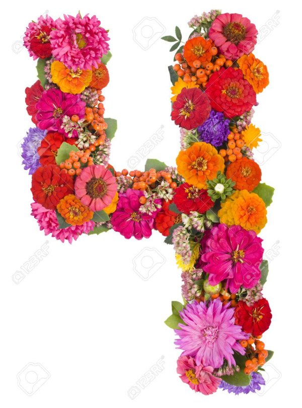 цветочный алфавит для оформления