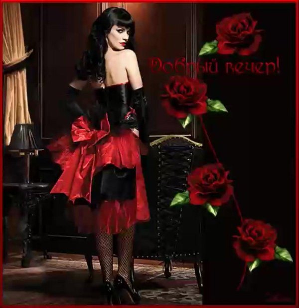 Вечер девушка