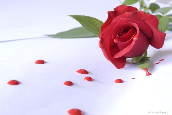 Влюбленных с цветами