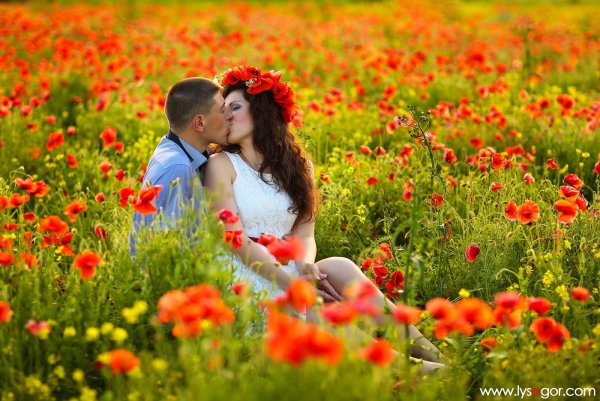 маковое поле фотосессия