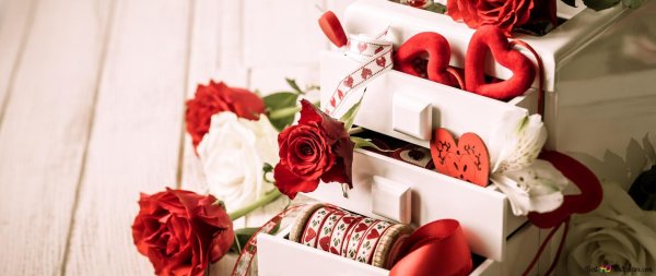 роза романтика