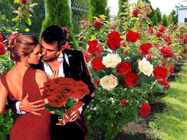 красивые песни о любви