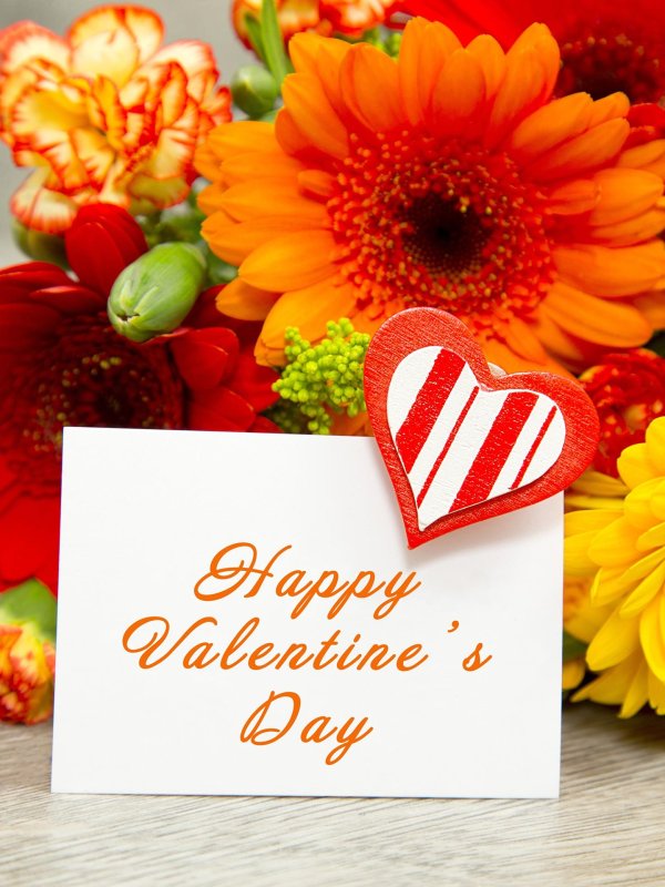 герберы открытка