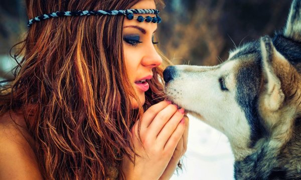 Девушка с животными