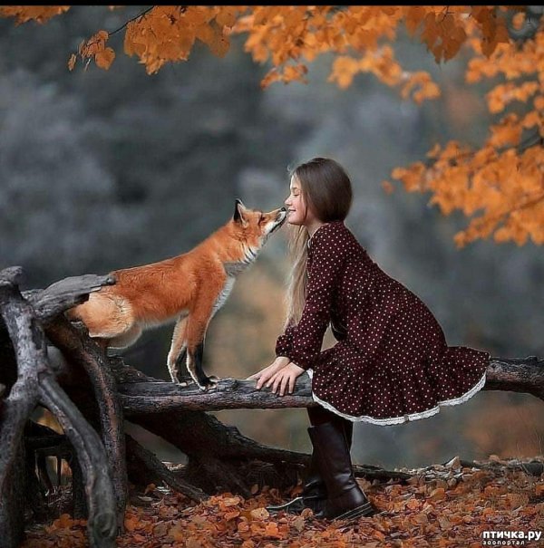 Девушка с животными