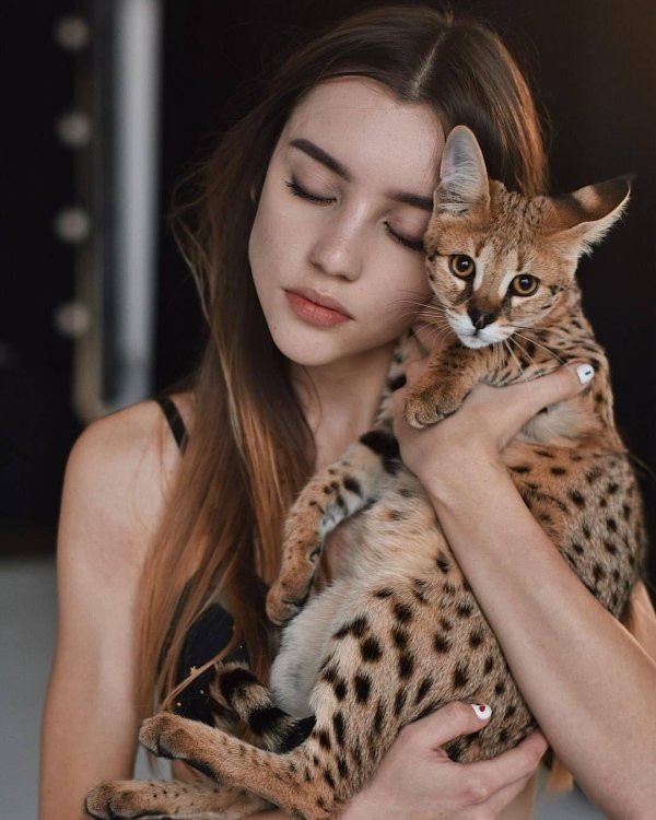 Девушка с животными