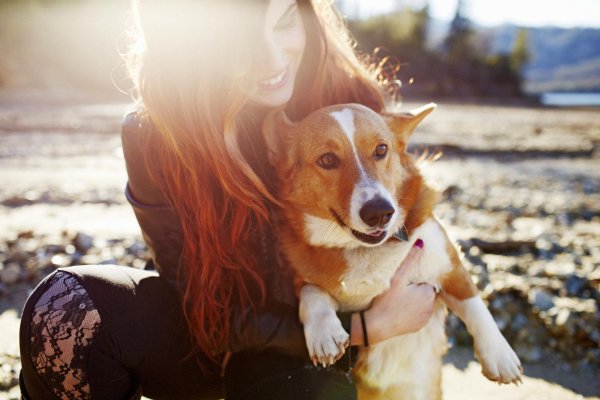 Девушка с животными