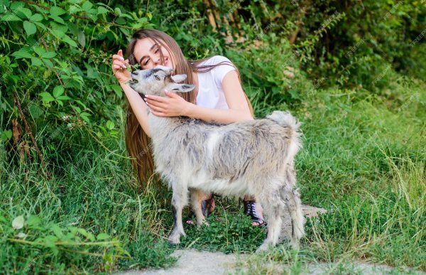 Девушка с животными