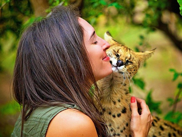 Девушка с животными