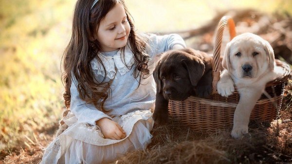 Девушка с животными