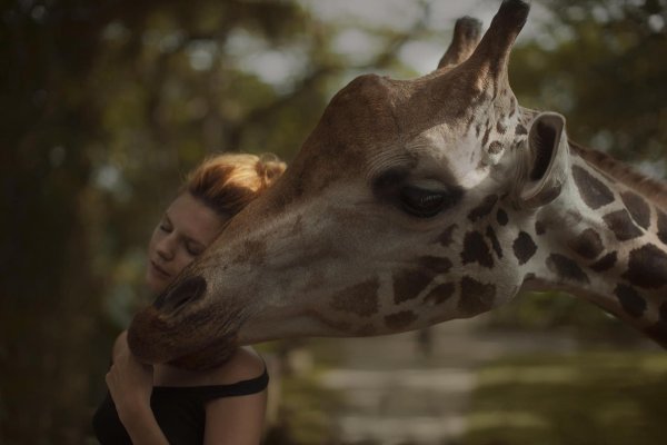 Девушка с животными