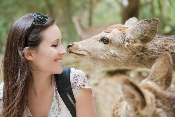 Девушка с животными