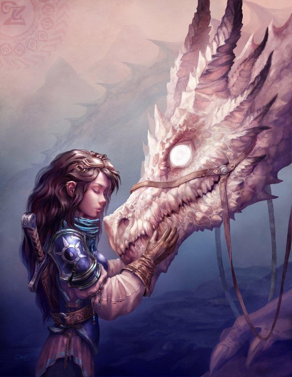 Девушка на драконе