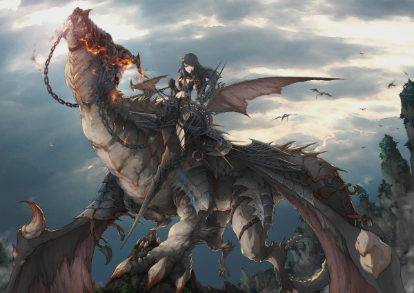 Девушка на драконе