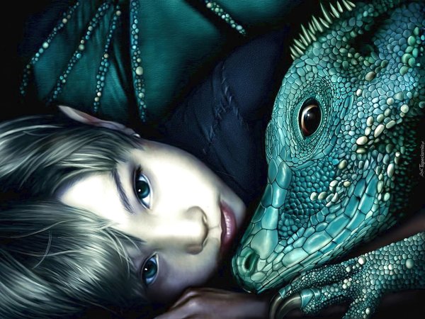 Девушка на драконе