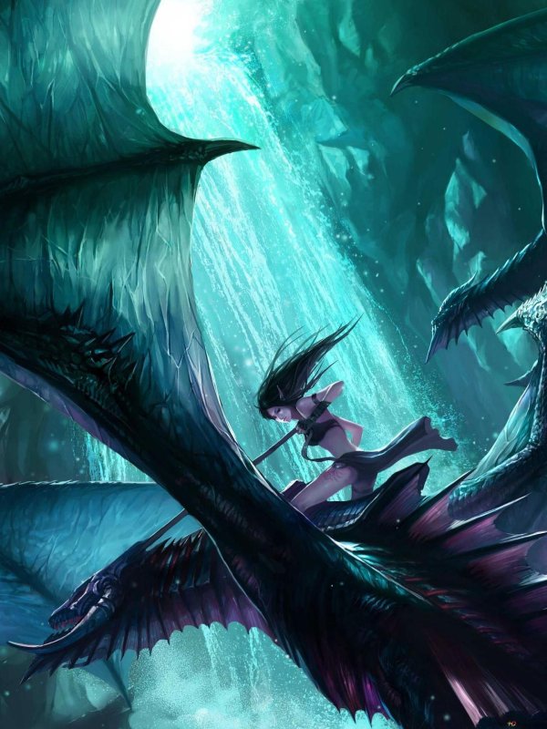 Девушка на драконе