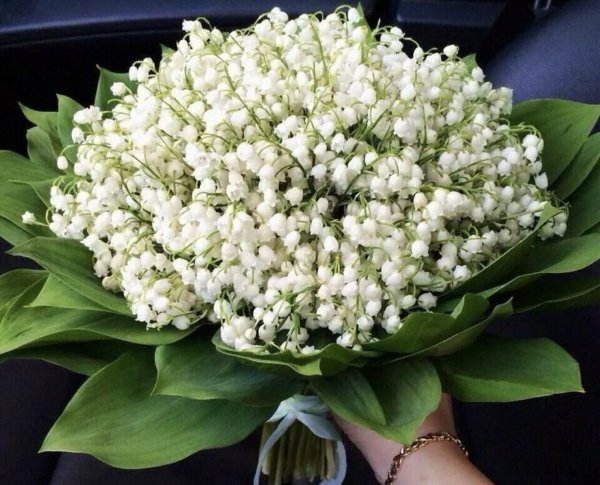 букет ландышей