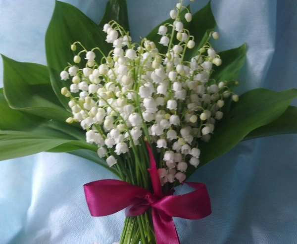 букет ландышей
