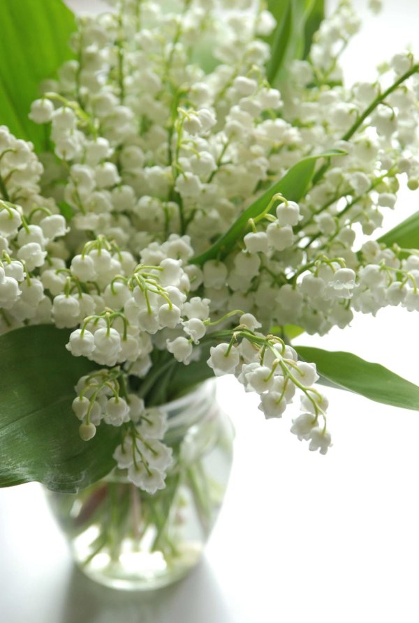 8 марта ландыши