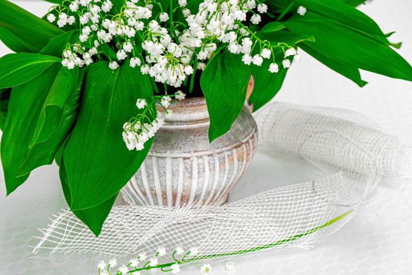 ландыш майский букетик