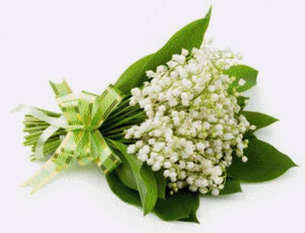 огромный букет ландышей