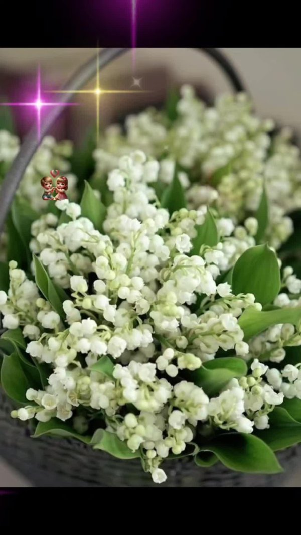 красивые ландыши