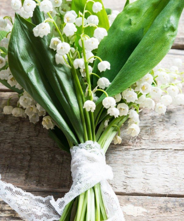 ландыш майский букетик