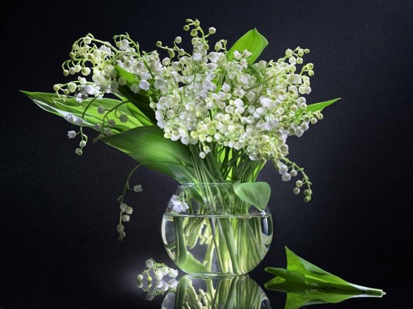 открытка ландыши