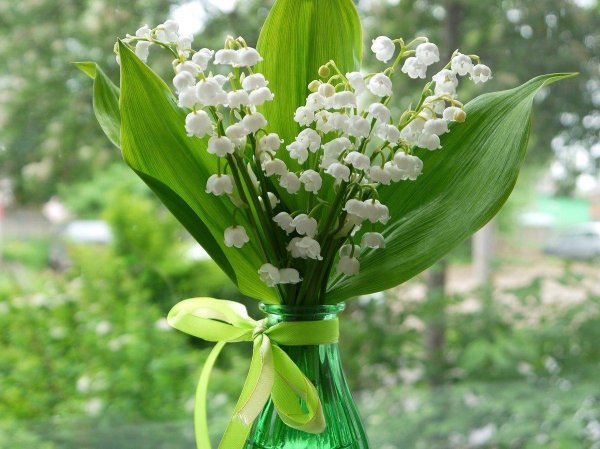 тюльпаны ландыши