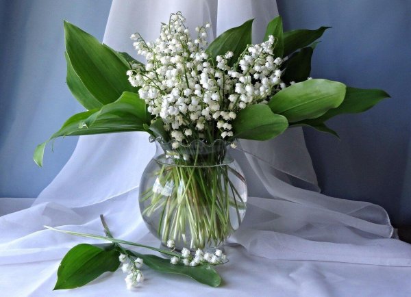 ландыши в вазе