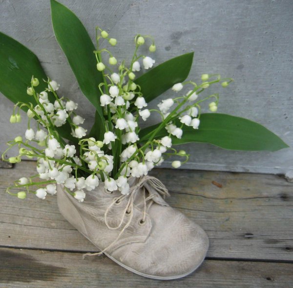 первоцветы  подснежники ландыши