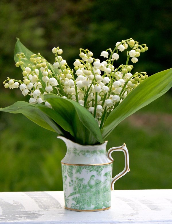 весна ландыши