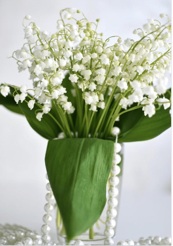 майский ландыш