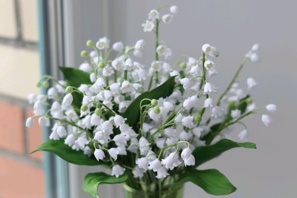 белые ландыши