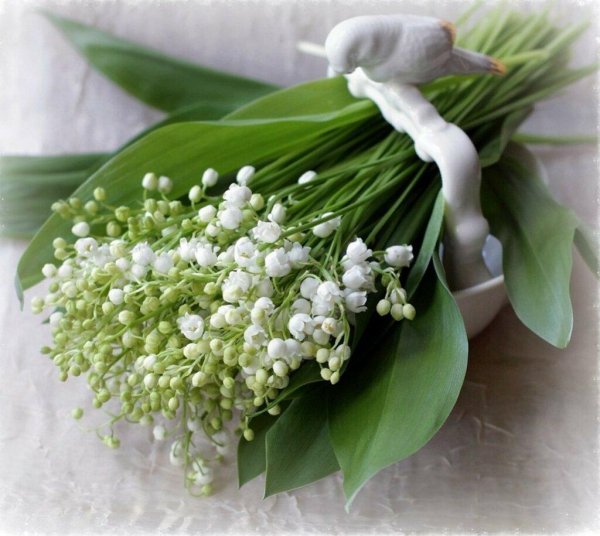 весенние цветы ландыши