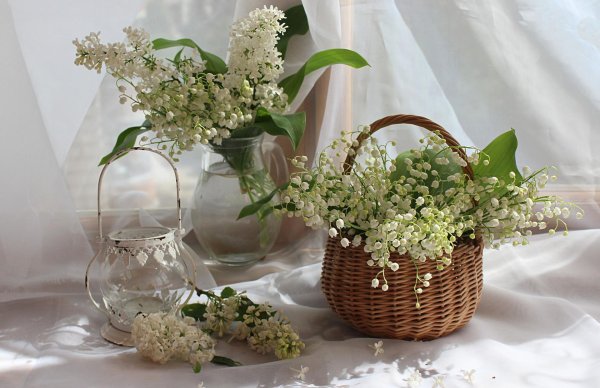 весенний ландыш