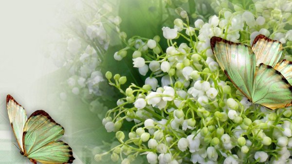 открытка с ландышами