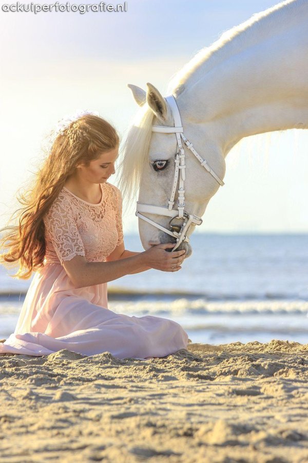 Девушка с лошадью