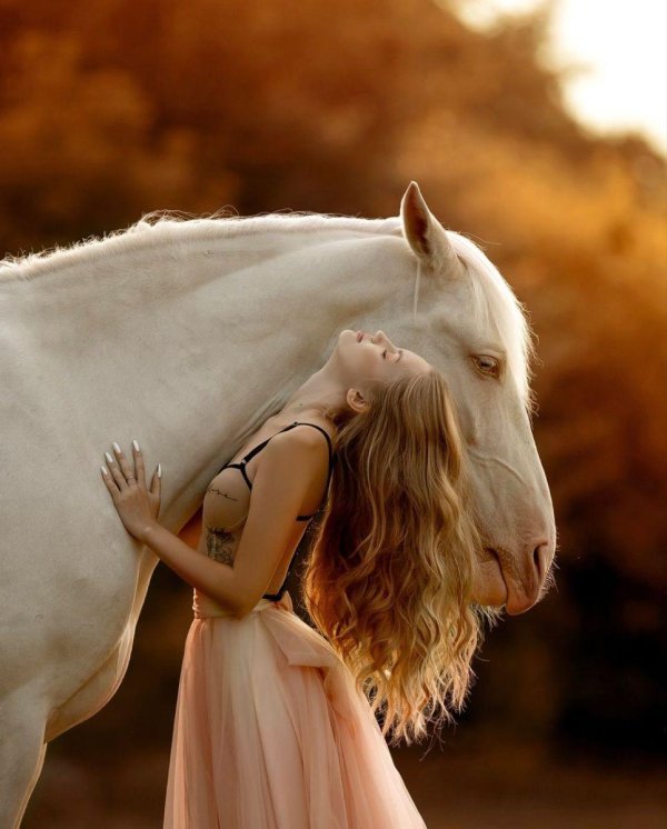 Девушка с лошадью