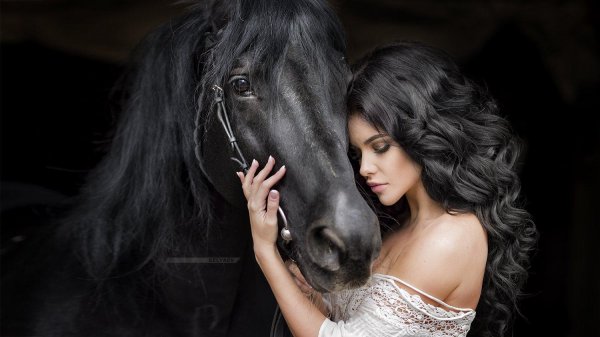 Девушка с лошадью