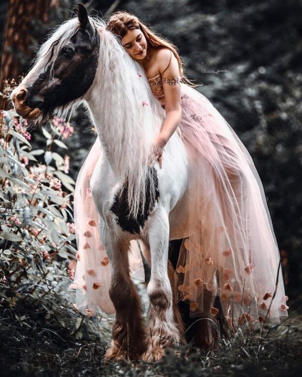 Девушка с лошадью